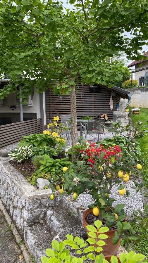 Apartma Nomad Νόβο Μέστο Εξωτερικό φωτογραφία